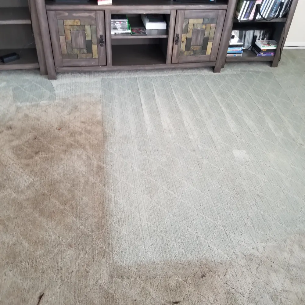 Living room carpet mid-clean with a clear line between the dirty and cleaned sides