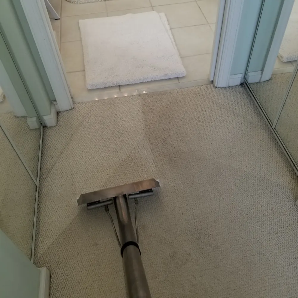 Hallway carpet half cleaned, showing the before and after
