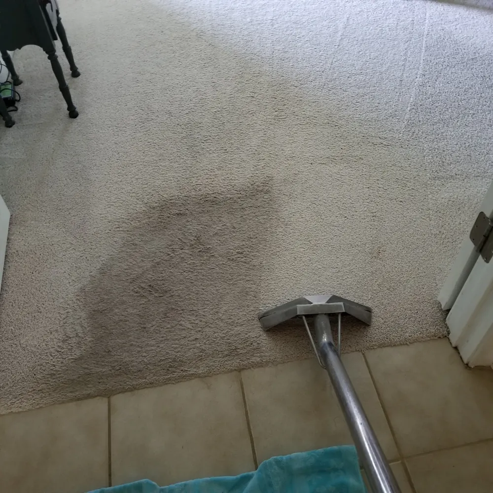 Tile floor partly cleaned, with dirty grout still visible on one side