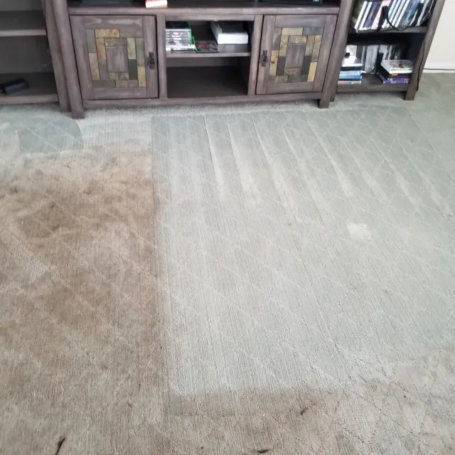 Living room carpet mid-clean with a clear line between dirty and clean