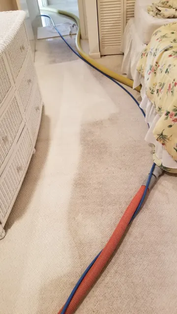 Striped armchair upholstery mid-clean