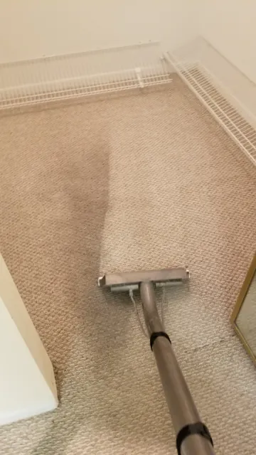 Carpet wand showing the cleaned side next to the dirty side