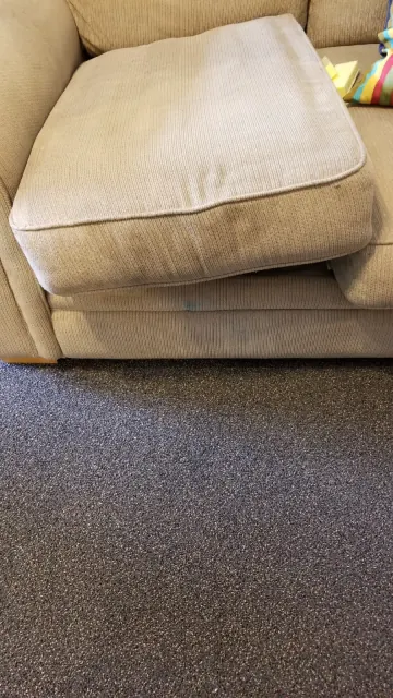 Sofa cushion before cleaning