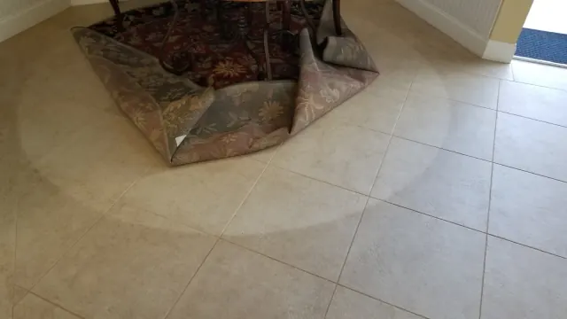 Area rug cleaning
