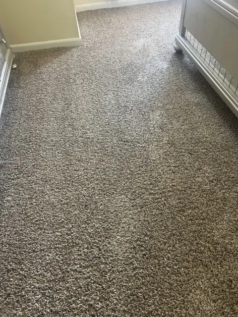 Textured carpet half cleaned