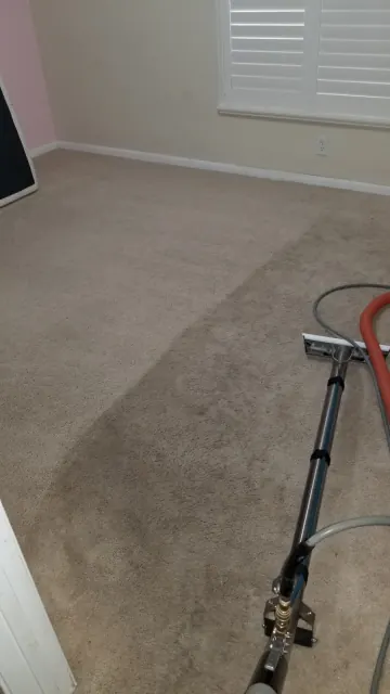 Carpet wand leaving clean stripes
